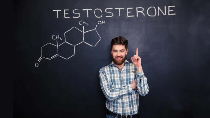 testosterone molecule